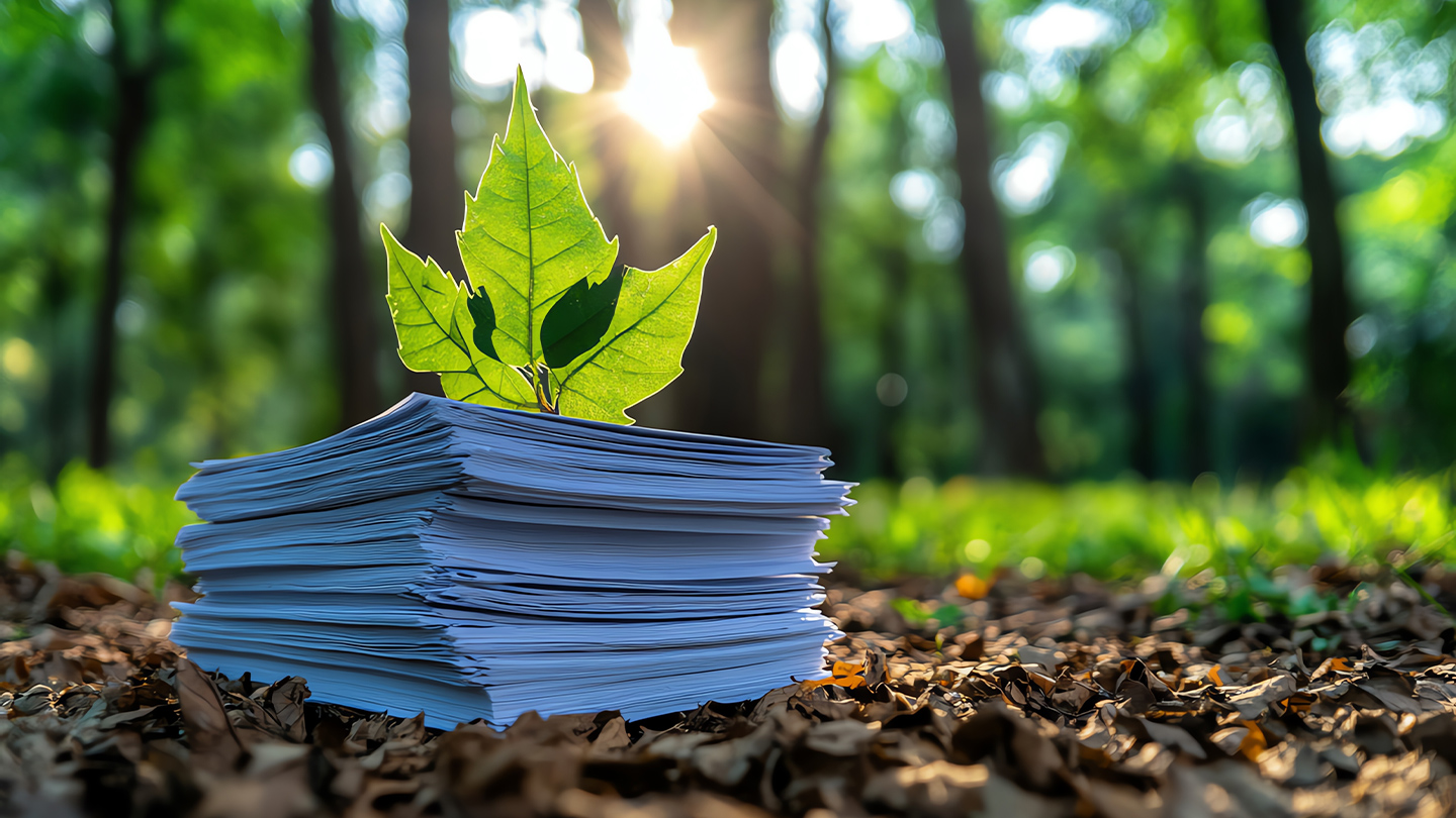 Stack of papers in a forest with green leaves